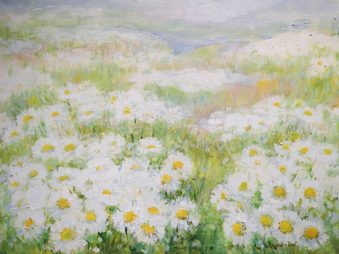 14.Meadow-of-ox-eye-daisy-600×800-scaled.jpg