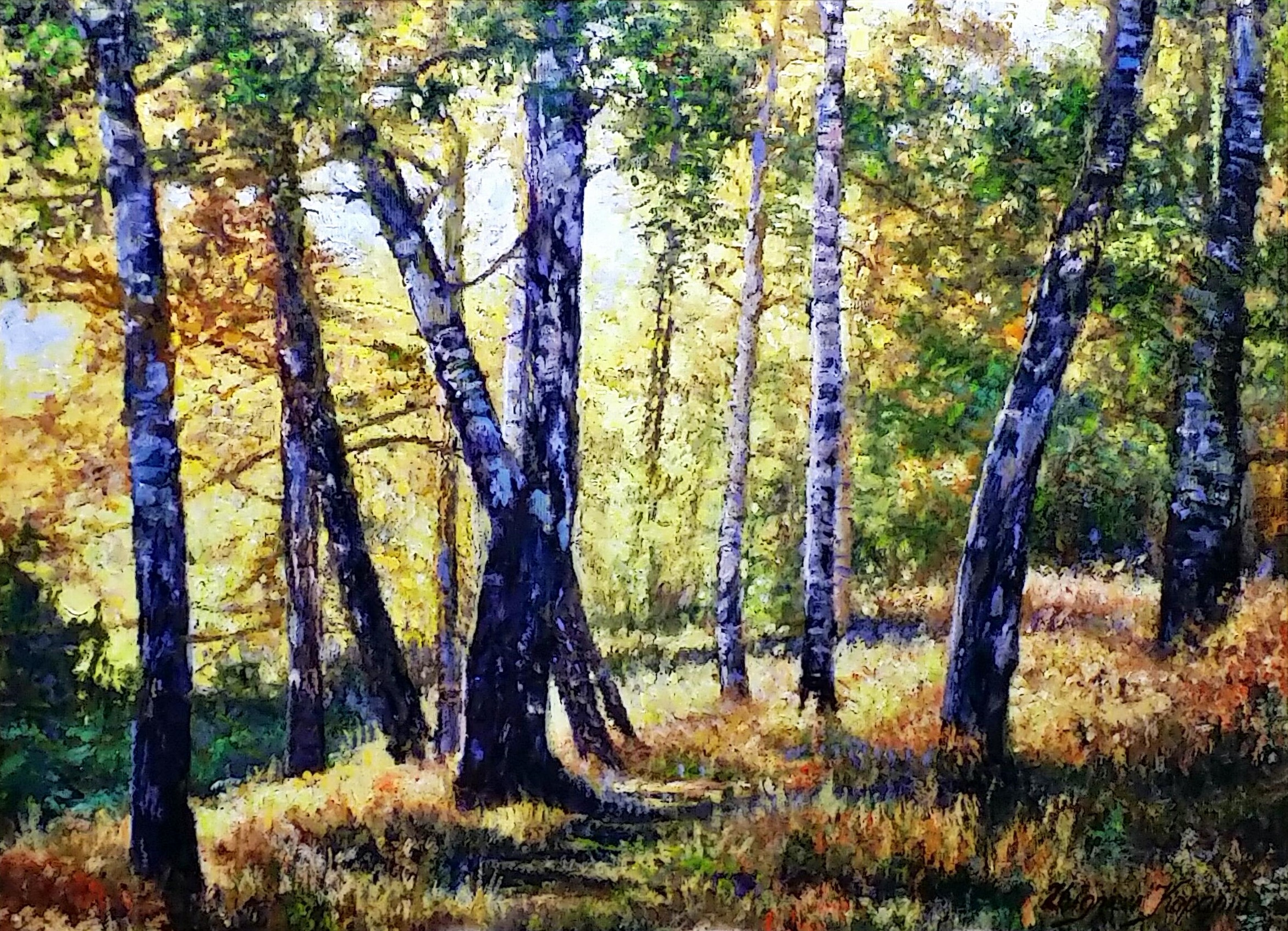 Birches-at-autumn」油彩30×40cm.jpg